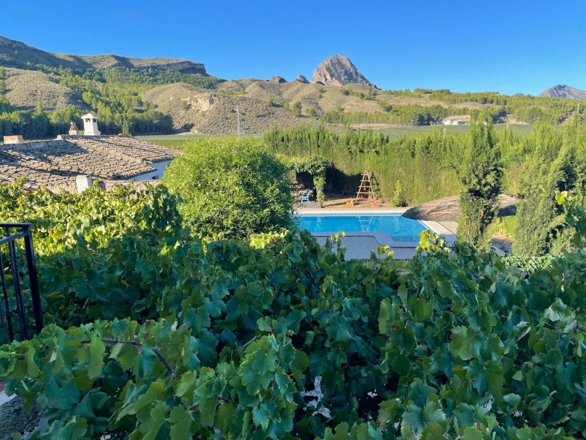 Casas Rurales El Cabezo De La Torre Villa Cieza Eksteriør billede